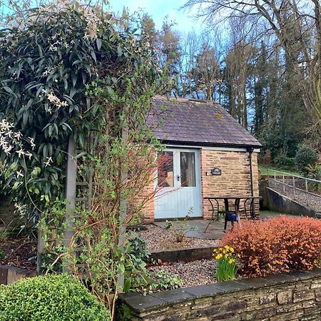 Maristow Cottages, Overlook Tamar Valley Dartmoor Plymouth Buitenkant foto