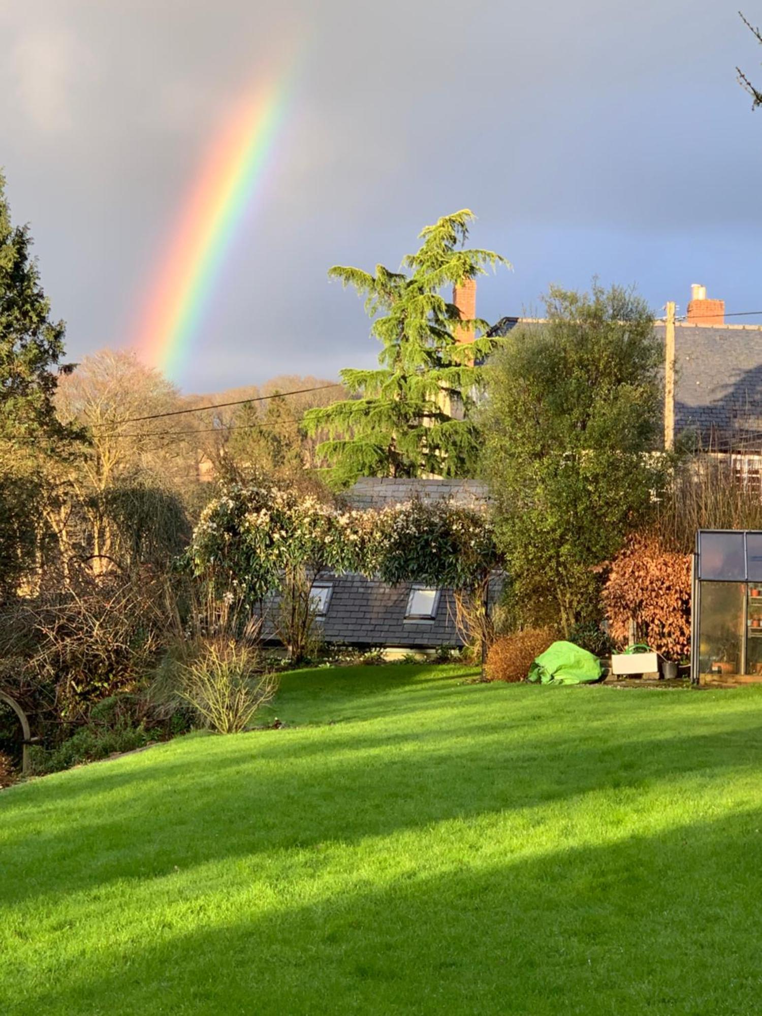 Maristow Cottages, Overlook Tamar Valley Dartmoor Plymouth Buitenkant foto