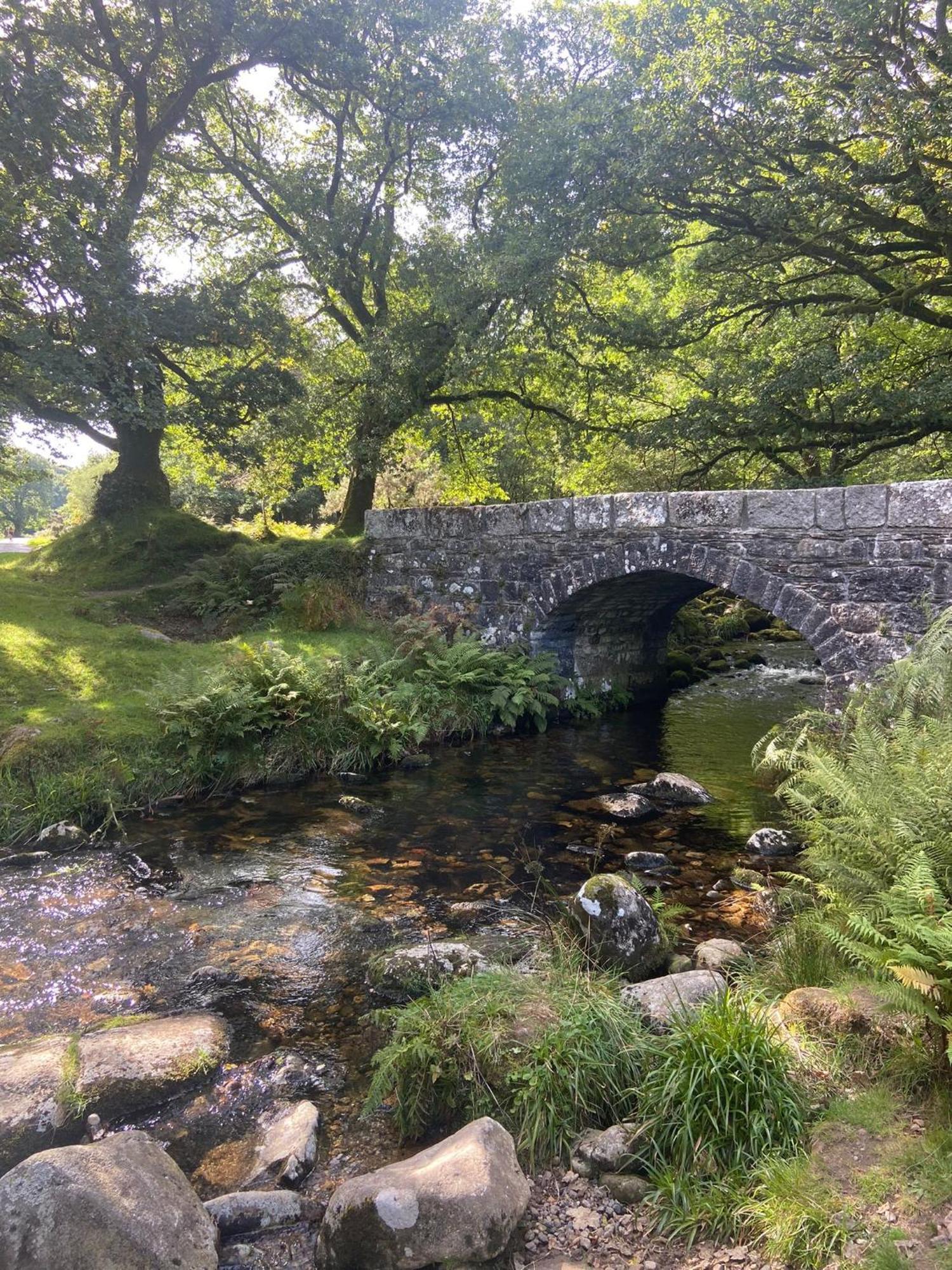 Maristow Cottages, Overlook Tamar Valley Dartmoor Plymouth Buitenkant foto