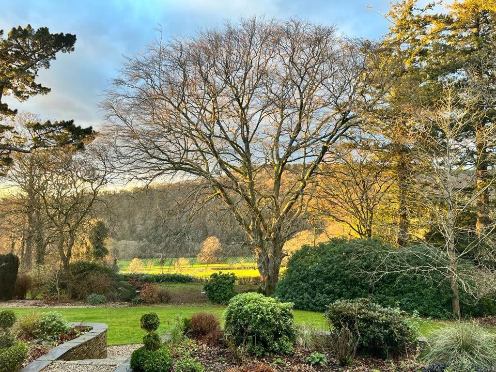 Maristow Cottages, Overlook Tamar Valley Dartmoor Plymouth Buitenkant foto